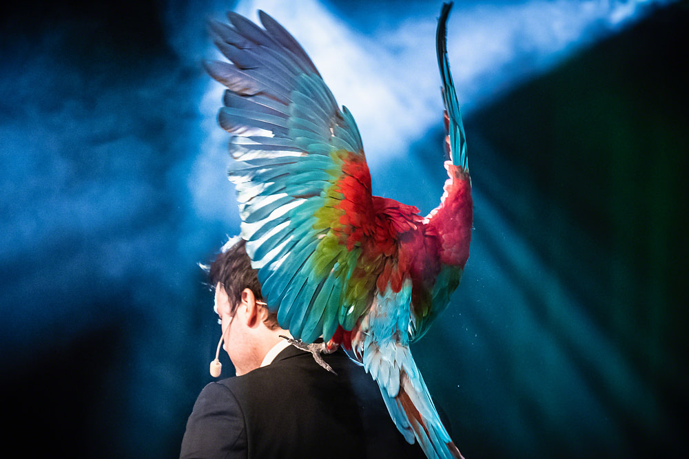 Magician London (1)