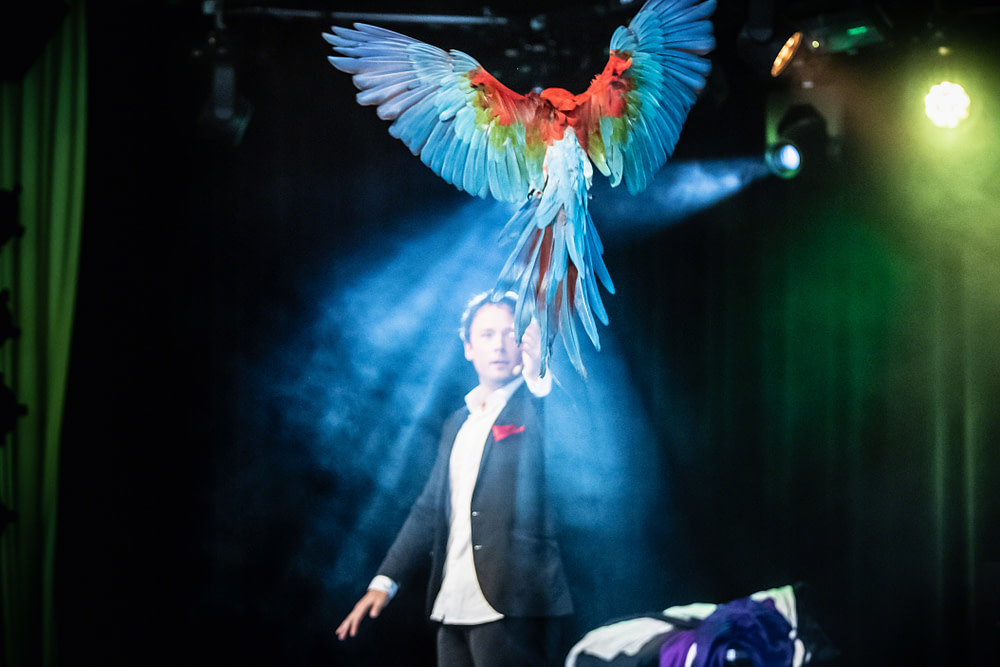 London Magician magician london