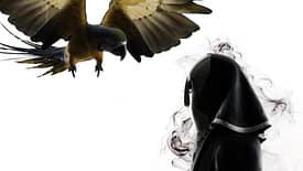 Book Magician London Book Magician London